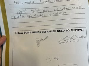 3. Workbook reflection